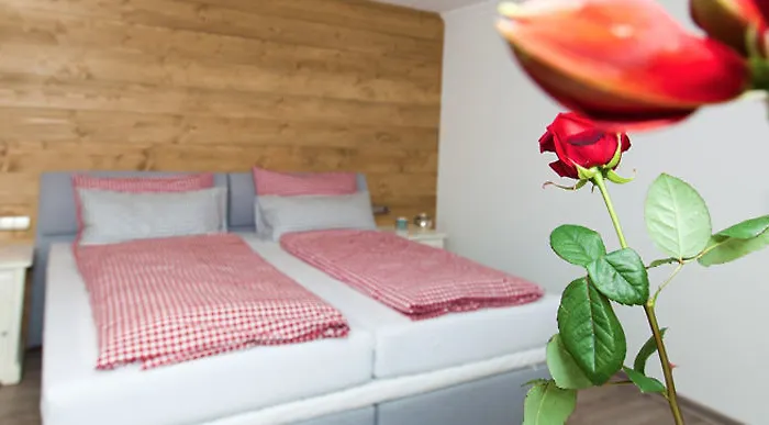 Hotel Alpinhotel Inzeller 3*