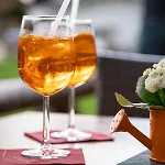 Hotel Alpinhotel Inzeller 3*