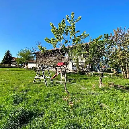 Alpinhotel Inzeller 3*