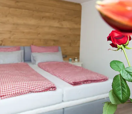 Hotel Alpinhotel Inzeller 3*