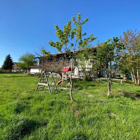 Alpinhotel Inzeller 3* انزل
